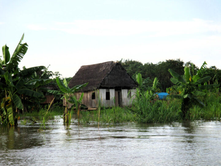Thatched hut by flooded river